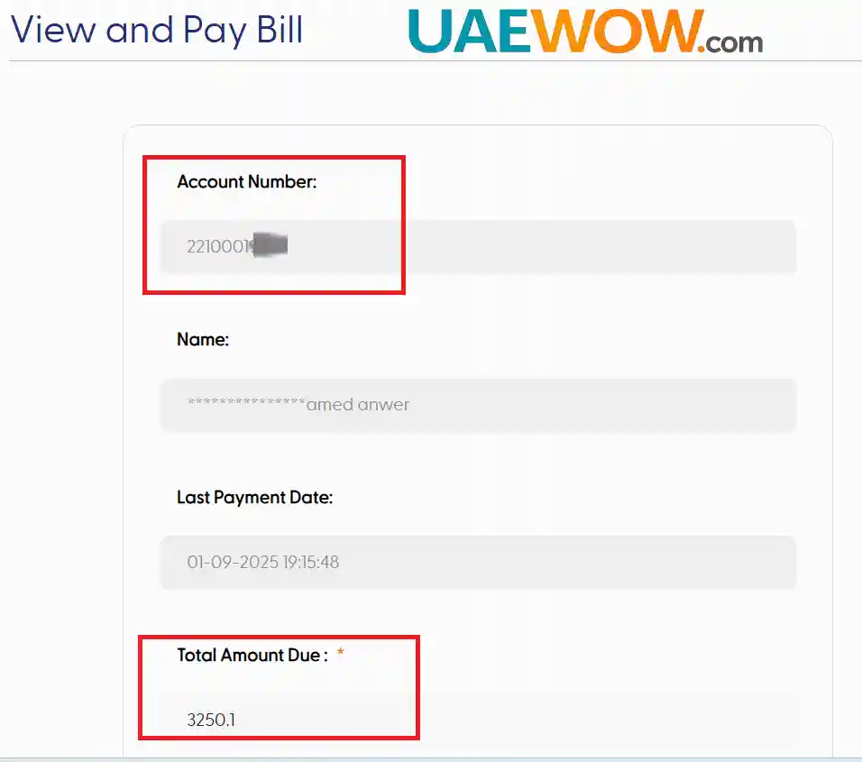Etihad Water and Electricity Bill Payment – How to View and Pay Your Bill 1 Step 3 Review fewa Billing Details