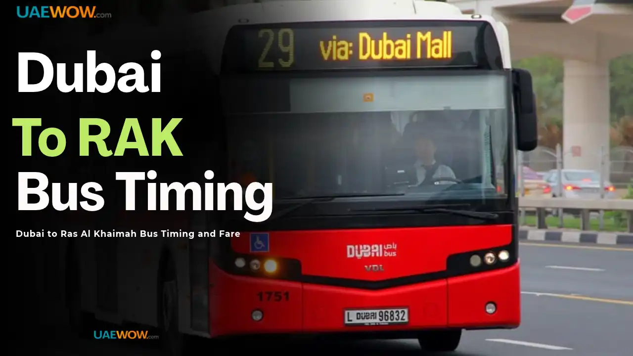 Dubai to Ras Al Khaimah Bus Timing and Fare