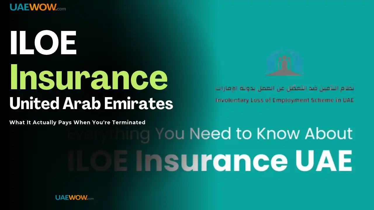 ILOE Insurance UAE — What It Actually Pays When You're Terminated