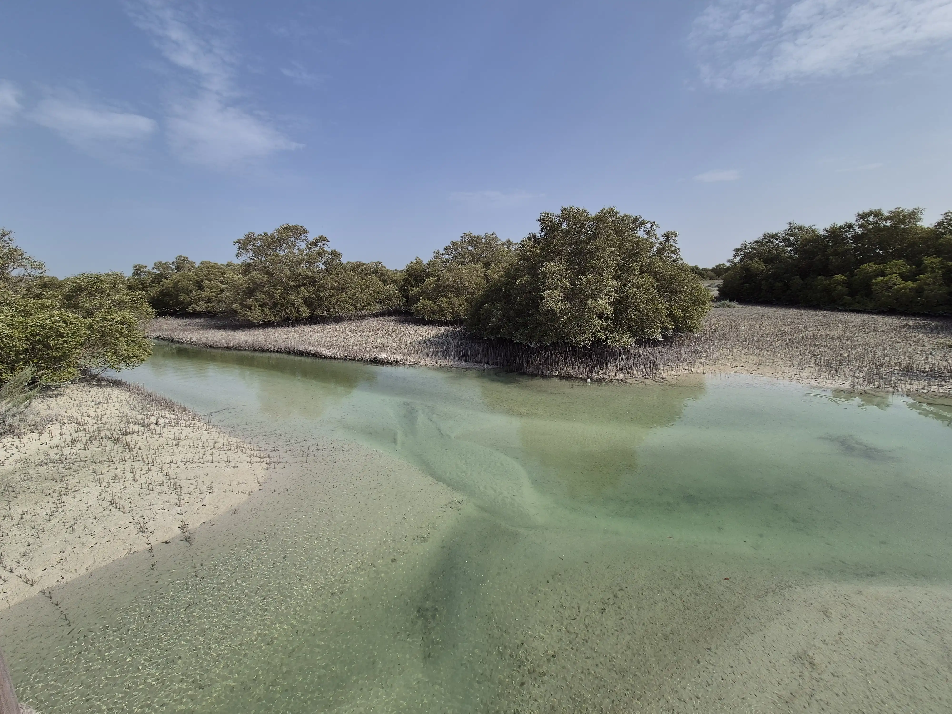 Jubail Mangrove Park