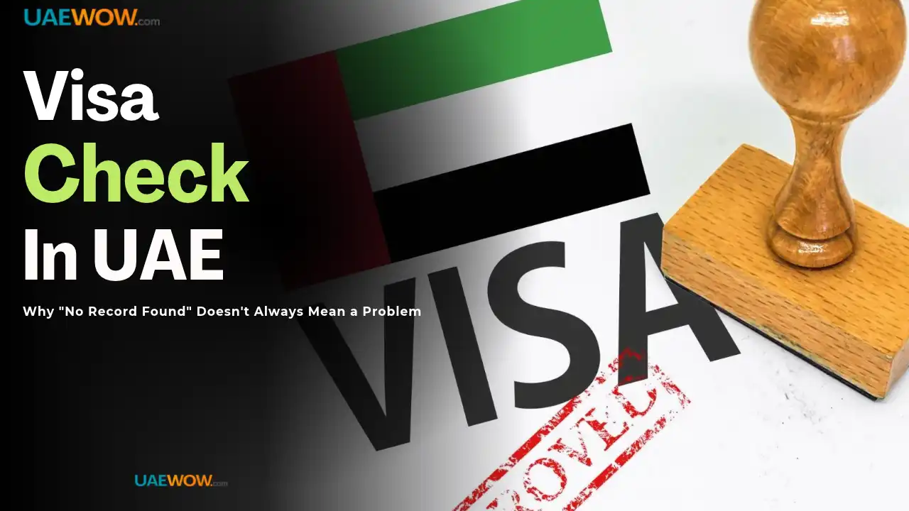 UAE Visa Check_ Why _No Record Found_ Doesn't Always Mean a Problem